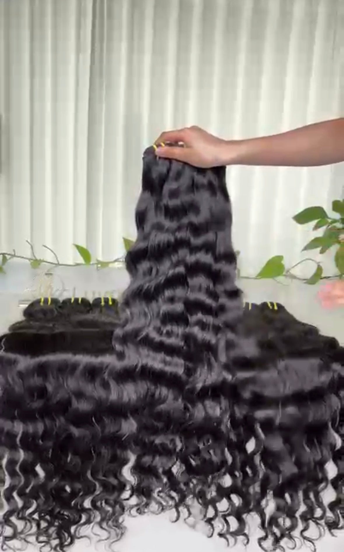 Indian Wavy