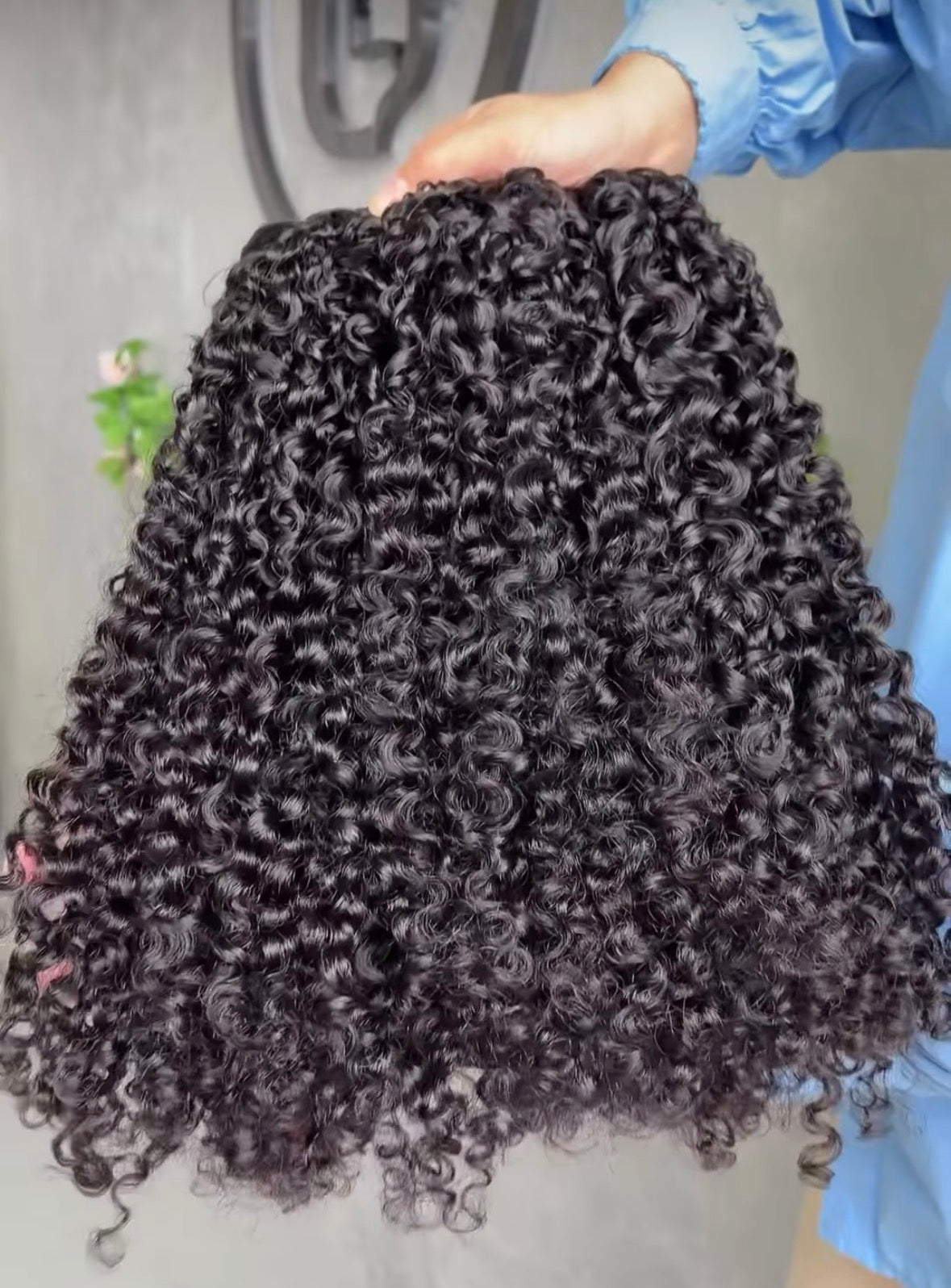 Fidji curly